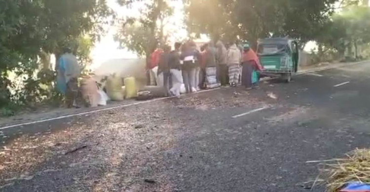 হাটে যাওয়ার পথে ট্রাকচাপায় দুই কৃষক নিহত