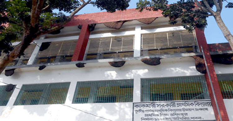 এক বিদ্যালয়ে মৌমাছির ১০০ বাসা