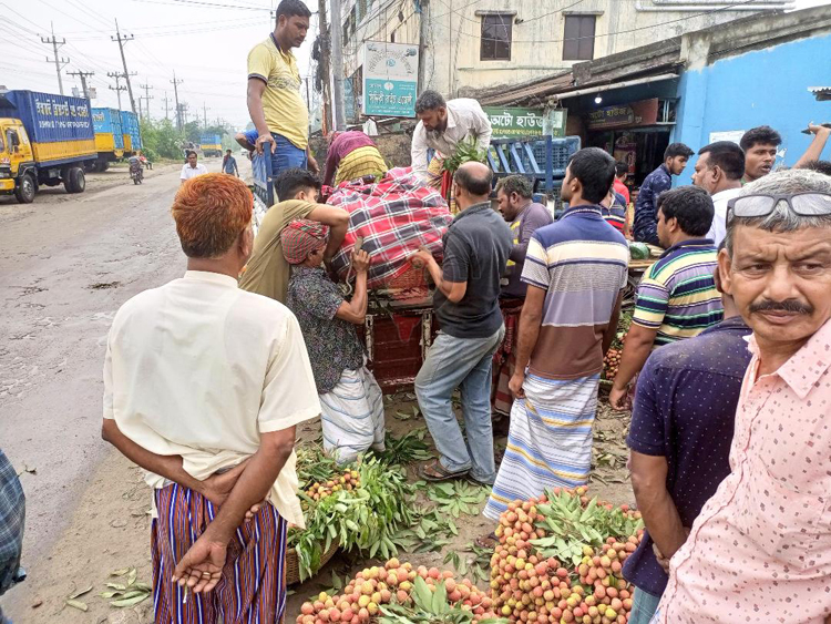 বাজারে উঠেছে ঈশ্বরদীর রসালো দেশি লিচু, দামে হতাশ চাষিরা