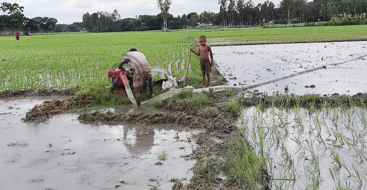 &lsquo;চালানই যদি না বাঁচে তাইলে তো চাষের কাম কইরা লাভ নাই&rsquo;