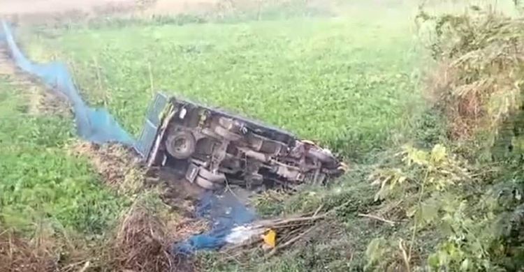 হাটে যাওয়ার পথে ট্রাকচাপায় দুই কৃষক নিহত