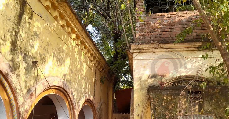 স্বাধীনতার ৫১ বছরেও ঈশ্বরদীতে বধ্যভূমি সংরক্ষণ করা হয়নি