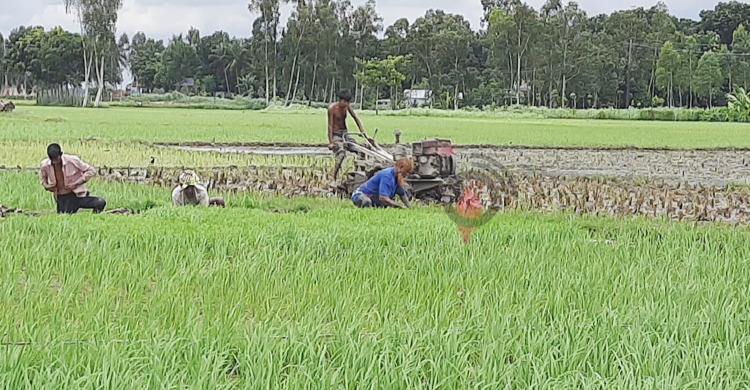 &lsquo;চালানই যদি না বাঁচে তাইলে তো চাষের কাম কইরা লাভ নাই&rsquo;