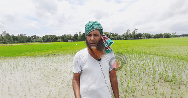 &lsquo;চালানই যদি না বাঁচে তাইলে তো চাষের কাম কইরা লাভ নাই&rsquo;
