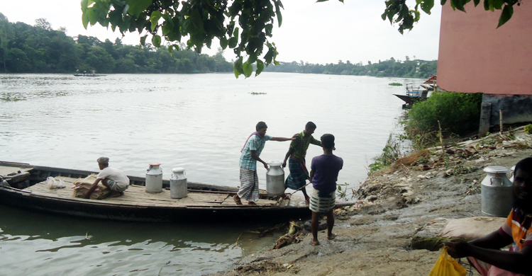 দুধের নহর বয়ে যায়