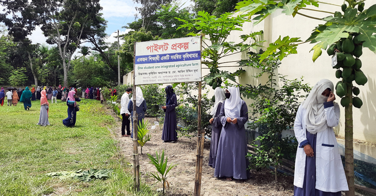 শিক্ষার্থীদের পরিচর্যায় গড়ে উঠছে যে কলেজের কৃষি খামার