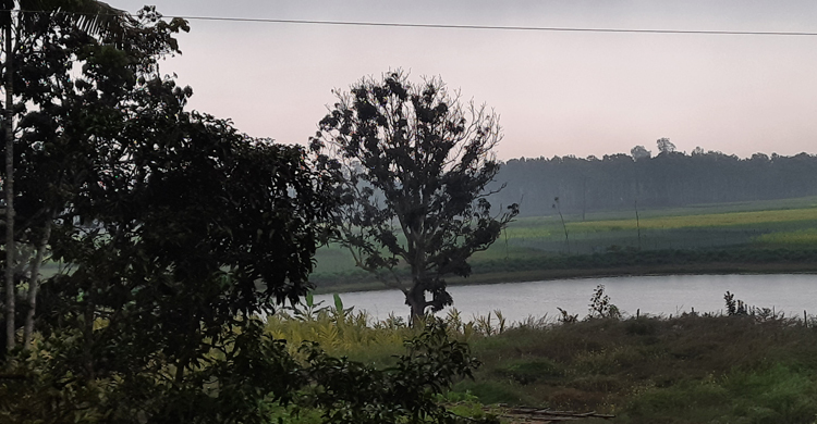 পাবনায় হালকা বৃষ্টি, সুফল পাবেন চাষিরা