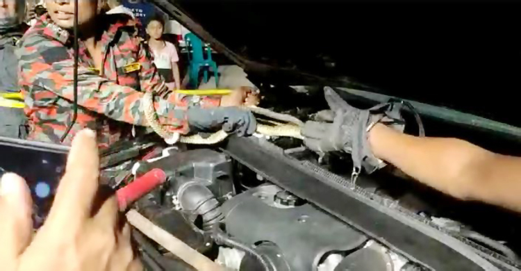 ইউএনওর চলন্ত গাড়িতে ঢুকে পড়লো সাপ