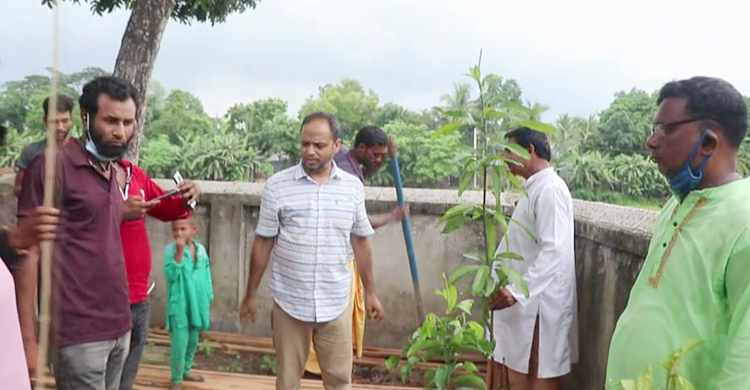 PABNA-PHOTO-TREE-PLANTATION-1