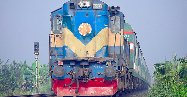 মাথায় খড়ি নিয়ে পার হচ্ছিলেন রেললাইন, ট্রেনের ধাক্কায় নিহত