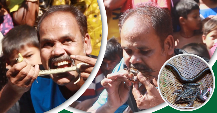 জ্যান্ত সাপ-ব্যাঙ-কেঁচো সবই খান পাবনার আকরাম