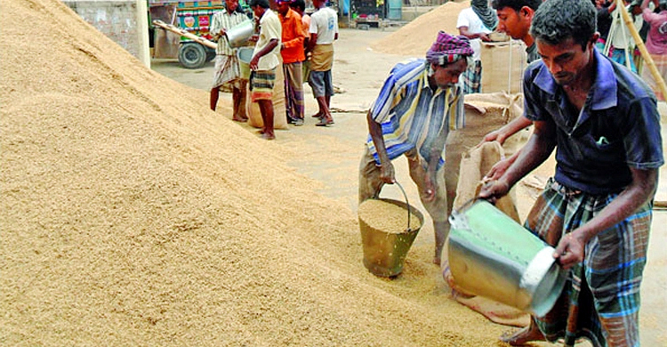 লক্ষ্মীপুরে সরকারি গুদামে ধান-চাল সংগ্রহে ভাটা