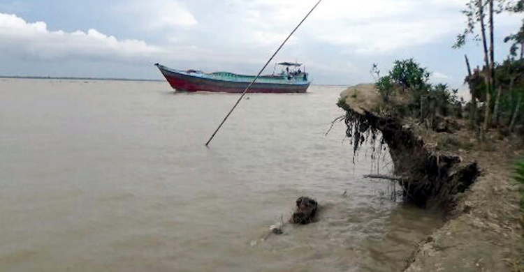পদ্মার পেটে রিং বাঁধ, আতঙ্কে শতাধিক পরিবার