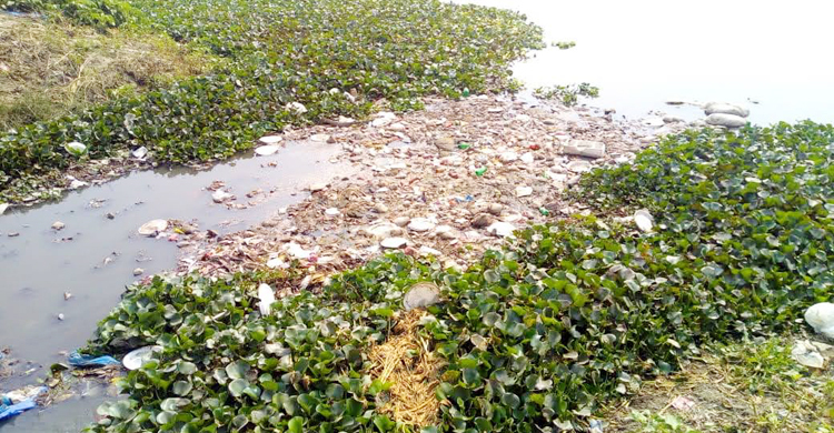 সর্বনাশা পদ্মা যেন এখন ময়লার ভাগাড়!