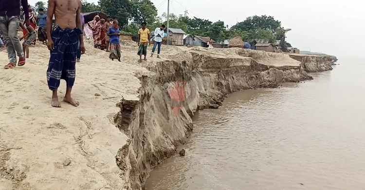 পদ্মায় বিলীন ৪৬ বসতঘর, হুমকির মুখে কয়েকটি গ্রাম