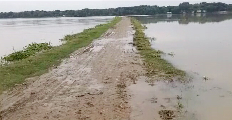 বাড়ছে পদ্মার পানি