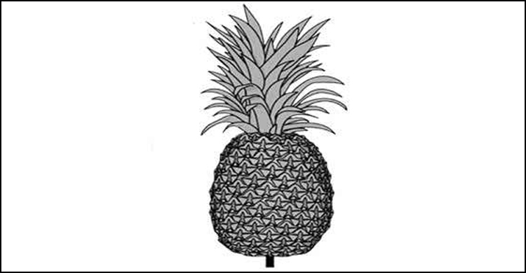 ৫২ প্রার্থীর সবাই চান ‘আনারস’