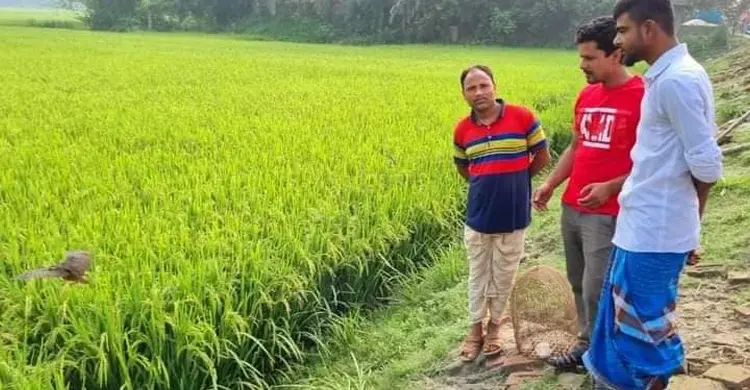 মুক্ত আকাশে ডানা মেললো ডাহুক পাখি