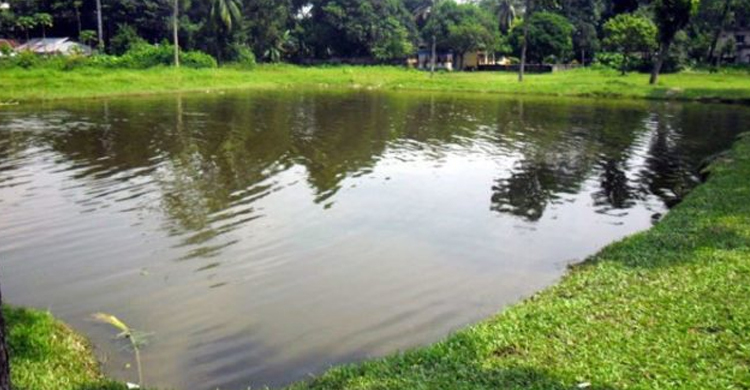 নানাবাড়ি বেড়াতে গিয়ে প্রাণ গেল দুই বোনের