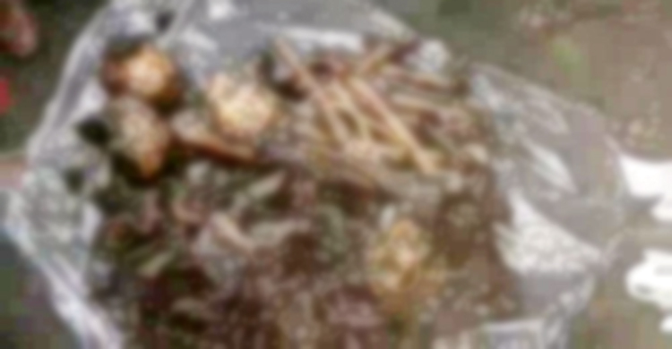 পঞ্চগড়ে চার কঙ্কাল উদ্ধার, নারী আটক