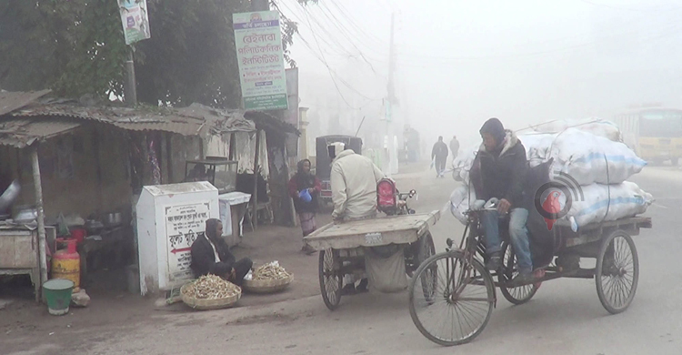 কুয়াশায় ঢাকা পঞ্চগড়, তাপমাত্রা নেমেছে ৮ ডিগ্রিতে