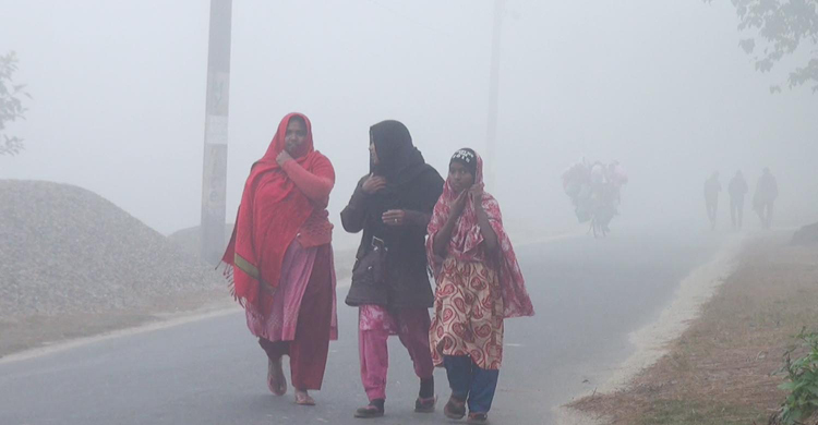 তাপমাত্রা বাড়লেও পঞ্চগড়ে বইছে মৃদু শৈত্যপ্রবাহ