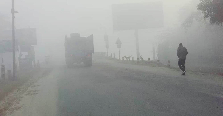 মাঘের শীতে কাবু মানুষ