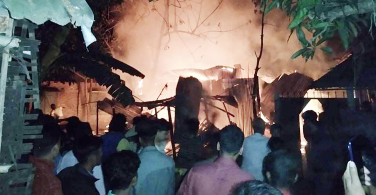 পঞ্চগড়ে অগ্নিকাণ্ডে পুড়লো গবাদি পশুসহ ৪ ঘর