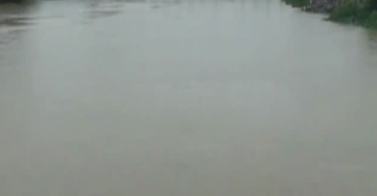 নোয়াখালীতে পুকুরে ডুবে তিন শিশুর মৃত্যু