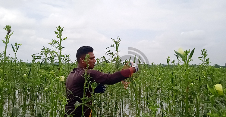 ‘বন্যার পানি সব ডুবিয়ে দিলো’