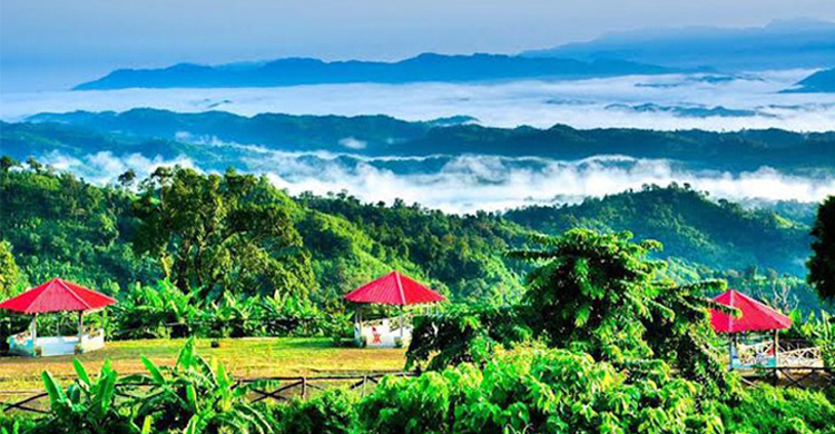 পর্যটন শিল্প বিকাশে সংশোধন হচ্ছে আইন