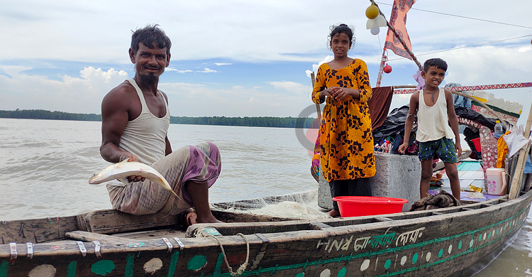 পটুয়াখালীতে ৩ মাসে ধরা পড়লো ৩১ হাজার টন ইলিশ