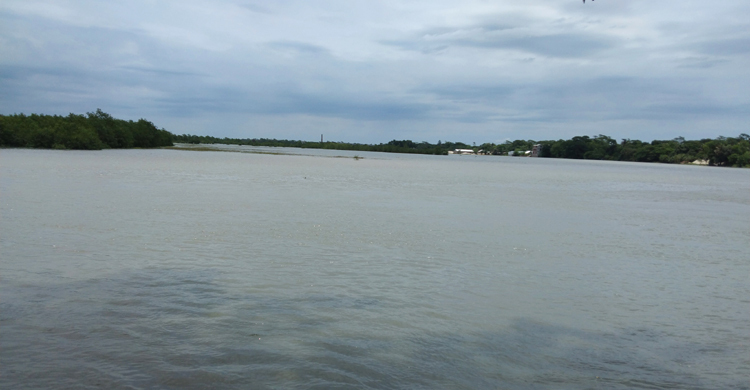 ঘূর্ণিঝড় ইয়াস : পটুয়াখালীতে ৭০২ আশ্রয়কেন্দ্র প্রস্তুত