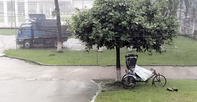 লকডাউন-বৃষ্টিতে ভাড়া নেই রিকশাচালকদের