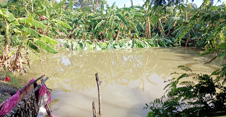 কুয়াকাটায় পুকুরে ডুবে শিশুর মৃত্যু
