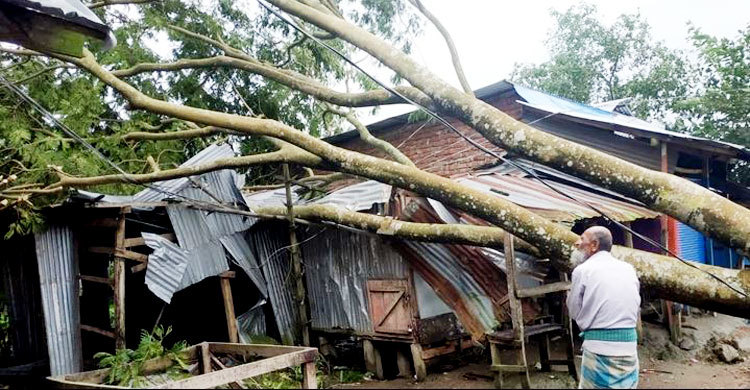 ২৭ ঘণ্টা পর জেলা শহরে বিদ্যুৎ, খবর নেই ৬ উপজেলায়