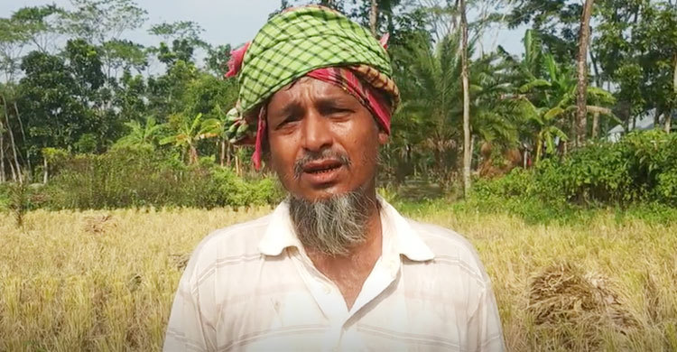পরের জমিতে ধান চাষ করে স্বাবলম্বী হচ্ছেন তারা