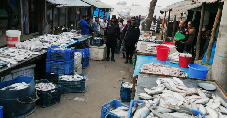 পটুয়াখালীতে দুইশ মণ জাটকাসহ আটক ১২