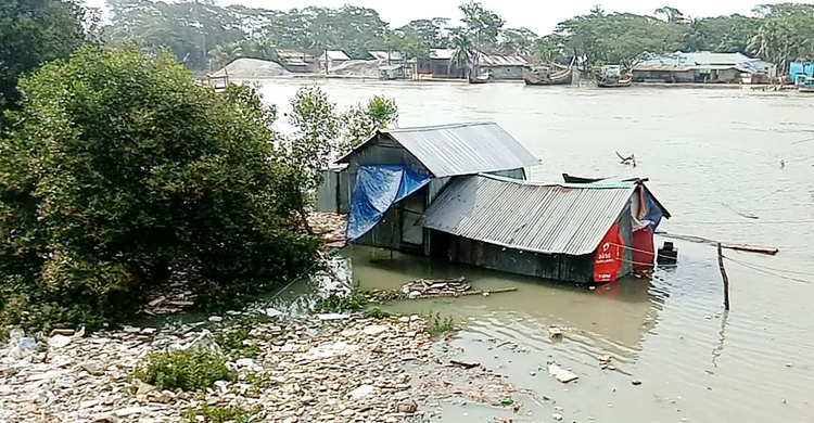 পটুয়াখালীতে ভেসে গেছে ৪৯ কোটি টাকার মাছ, ২০৩ গ্রাম ক্ষতিগ্রস্ত