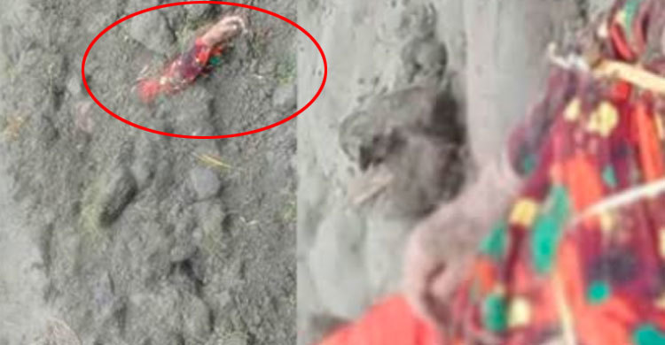 বিয়ের ২০ দিনের মাথায় নববধূকে মাটিচাপা দিলেন স্বামী