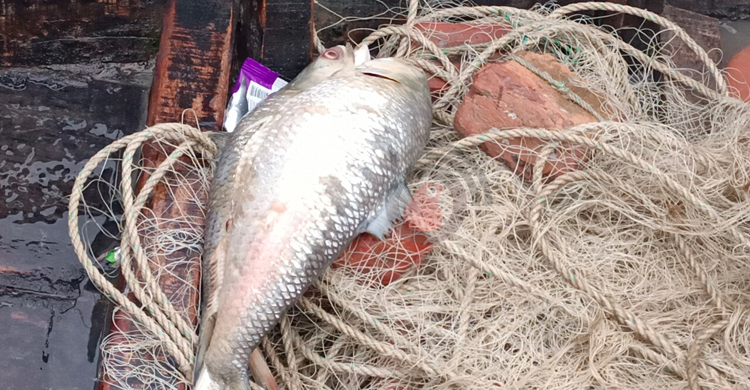 সমুদ্রবন্দরে ৩ নম্বর সতর্কতা, ইলিশ ছাড়াই ফিরছেন জেলেরা