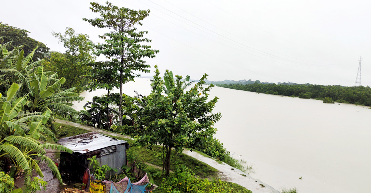 পটুয়াখালীতে বৃষ্টিপাত অব্যাহত, বাড়ছে নদ-নদীর পানি