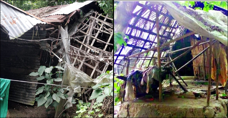 নারিকেল পাতার ঘরটিই বীর মুক্তিযোদ্ধা পরিবারের একমাত্র সম্পদ