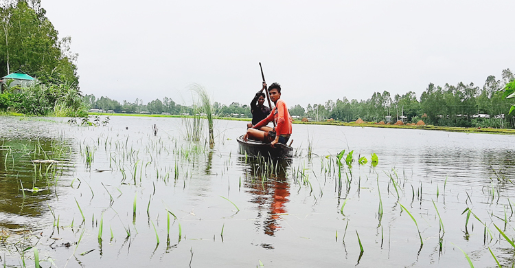 পানি বেড়েছে কুড়িগ্রামের নদ-নদীর, নিম্নাঞ্চল প্লাবিত