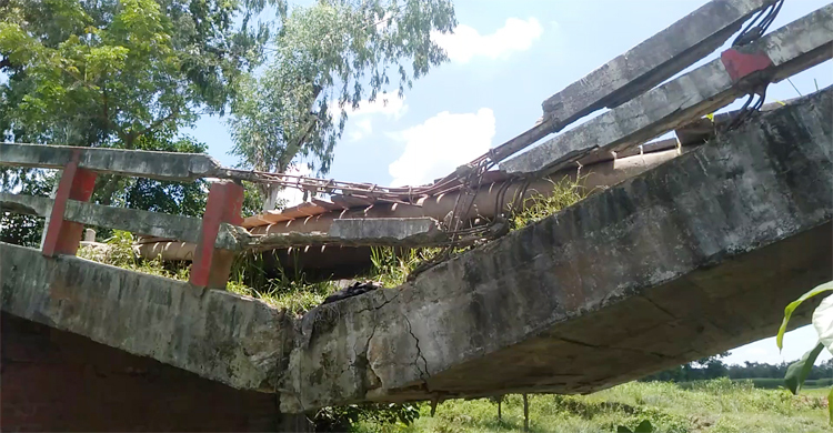 দুই জেলার সংযোগে কাঠের ব্রিজ, দেখার যেন কেউ নেই