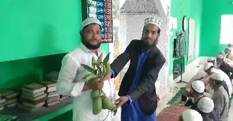 ৪টি আমের দাম ২৫ হাজার টাকা!