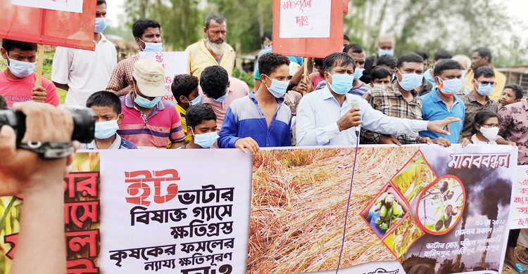 দিনাজপুরে ইটভাটার বিষাক্ত গ্যাসে ক্ষতিগ্রস্ত কৃষকদের মানববন্ধন