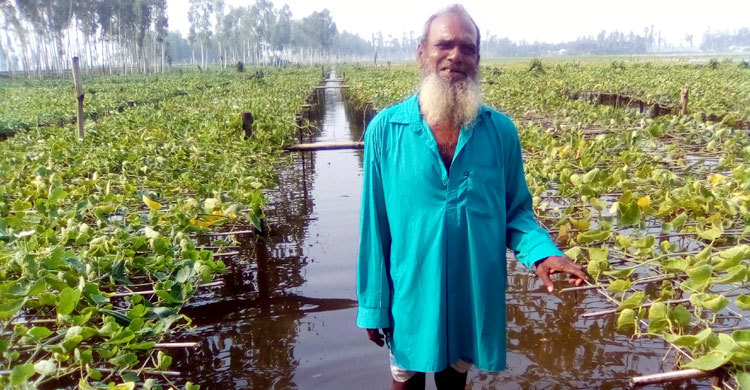 ক্ষেতেই পচে গেছে পাঁচ লাখ টাকার সবজি, কাঁদছেন কৃষক