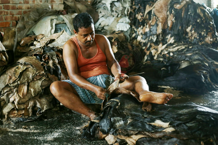 থাকার জায়গা নেই, যাওয়া-খাওয়াতেই আয় শেষ ট্যানারি শ্রমিকদের