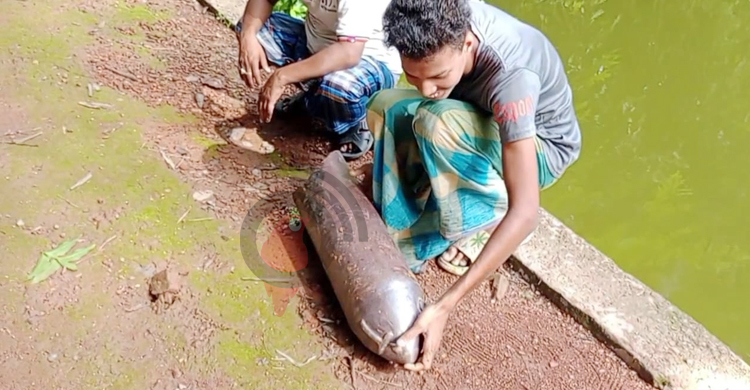 আম খুঁজতে পুকুরে নেমে মিললো ব্রিটিশ আমলের পিলার সাদৃশ্য বস্তু